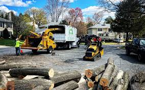 Best Lawn Maintenance Plans  in Lampasas, TX
