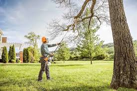Best Lawn Renovation and Restoration  in Lampasas, TX