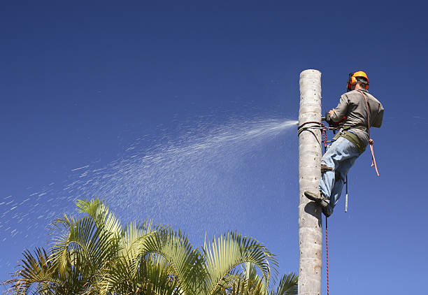 Lawn Irrigation Installation and Maintenance in Lampasas, TX